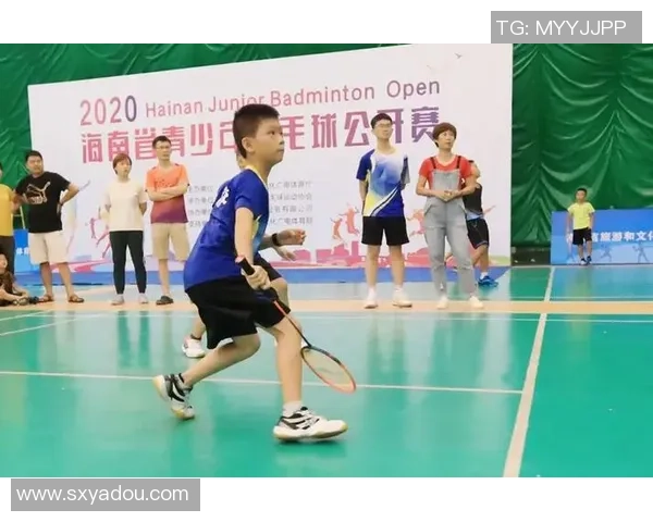 深圳羽毛球队心理素质分析与提升策略探讨 深圳羽毛球队心理素质分析与提升策略探讨